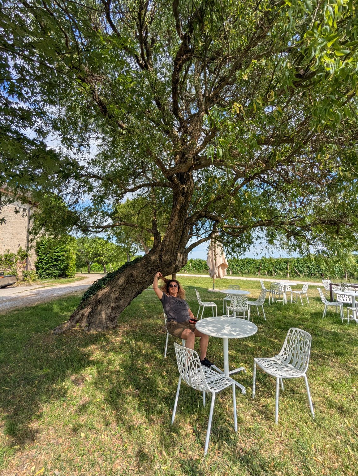 A garden at one of the places we choose