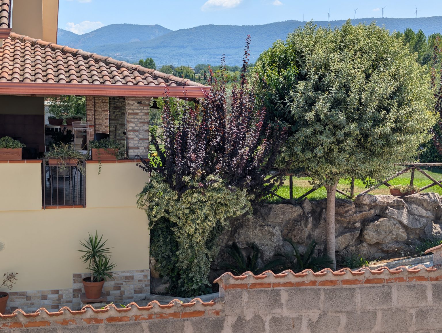 A garden at one of the places we choose