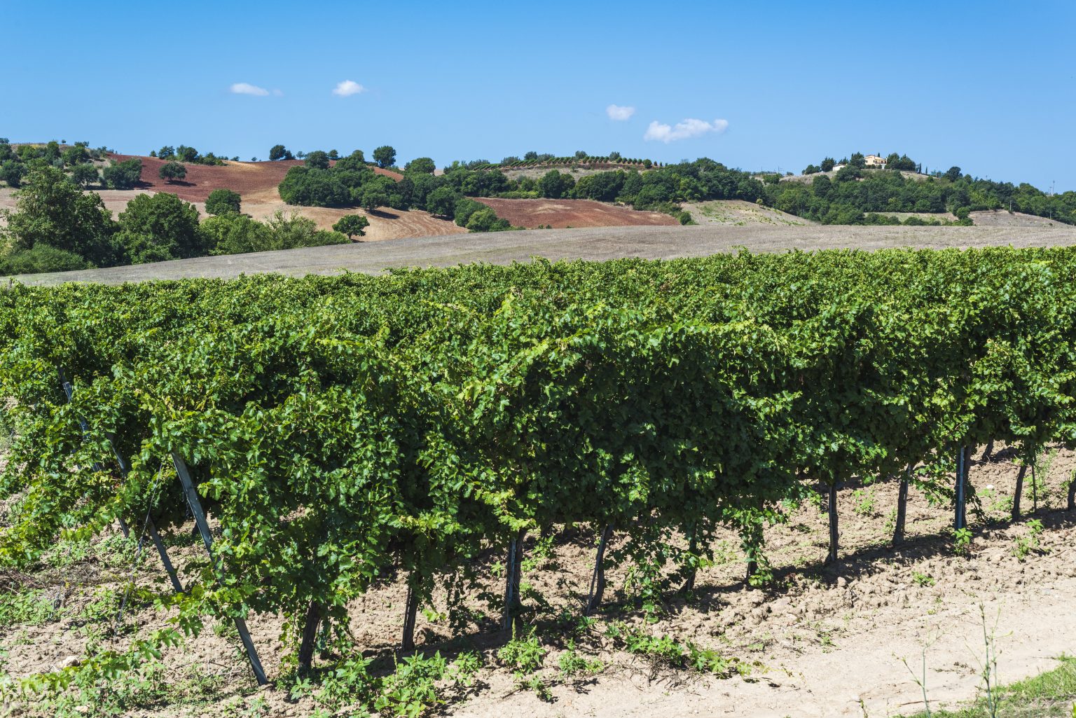 Tuscany and Veneto journey